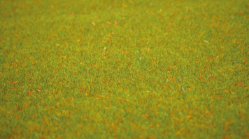 NOCH Grass Mat “Flower Meadow” 200 × 100 cm – 00011