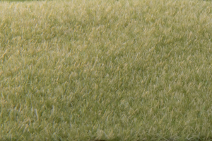 Woodland Scenics Static Grass 2mm Light Green – FS615