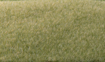 Woodland Scenics Static Grass 2mm Light Green – FS615