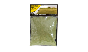Woodland Scenics Static Grass 2mm Light Green – FS615 - Image 2