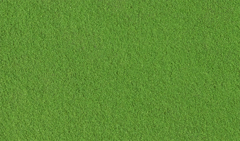 Woodland Scenics Fine Turf Green Grass – T1345