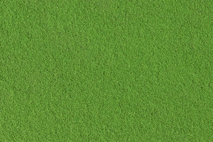 Woodland Scenics Bushes Light Green – FC145